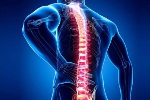 ببینید  چند توصیه مهم به مبتلایان به دیسک و ضعف عضلات کمر