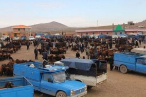 تب برفکی، میادین عرضه دام دواب مهاباد را تعطیل کرد