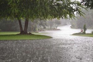 بارش باران در ۱۲ استان؛ پیش‌بینی وضعیت هوا طی روزهای آینده