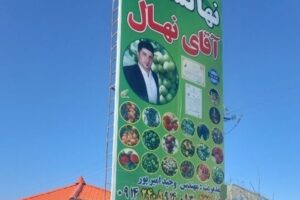 آقای نهال به ازای خرید 10 نهال، 2 نهال و کود رایگان هدیه می‌دهد