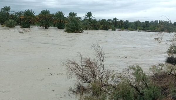 ببینید   بارش شدید باران و جاری‌شدن روان‌آب در جای‌جای استان مرکزی