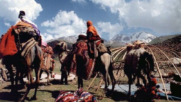 قبولی ۱۱ دانش‌آموز عشایر گلستانی در رشته پزشکی