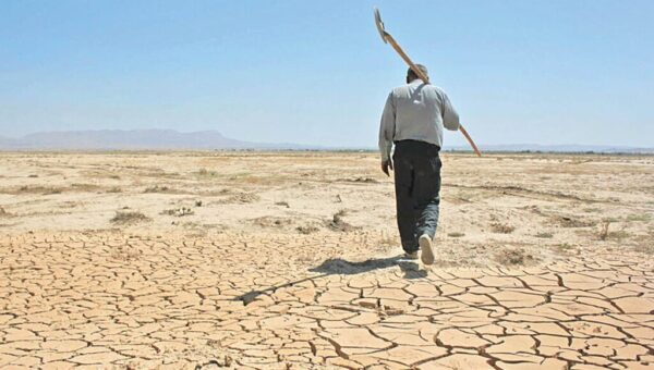 این اقدام افغانستانی‌ها سبب خشک شدن هامون شده