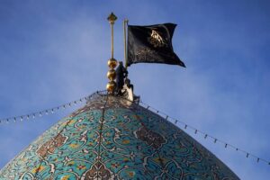 امین ولایت رضا (ع) را بیشتر بشناسیم