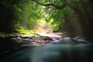 بالاترین لذت در بهشت؛ پاسخ امام صادق(ع) به یک پرسش مهم