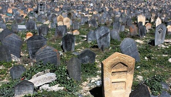 ببینید  لاکچری‌بازی تا پای گور!