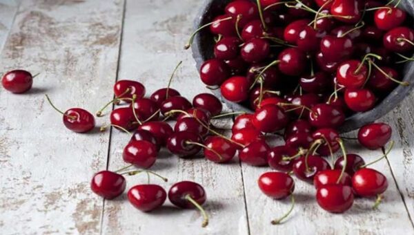 قیمت نجومی گیلاس در بازار/ گیلاس کیلویی یک میلیون تومان