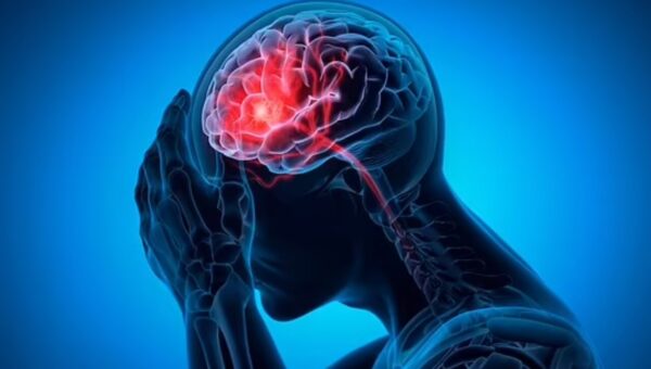 جلوگیری از ابتلا به آلزایمر با مصرف این ماده غذایی