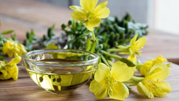 روغن گل مغربی چه فایده‌ای دارد؟