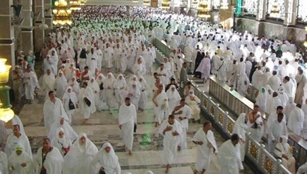 ببینید  همکاری عربستان با سازمان حج چگونه شده است؟