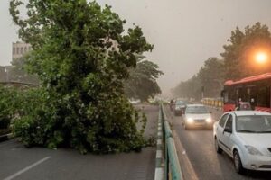 ببینید  تصاویری از شدت طوفان در جنوب تهران