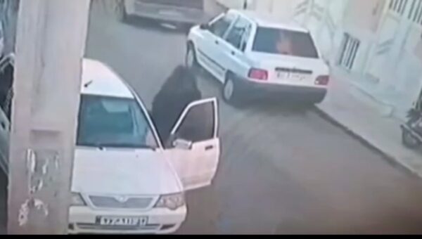 ببینید  اقدام عجیب برای سرقت از آرایشگاه زنانه در آزادشهر یزد