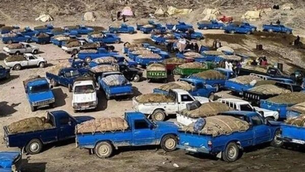 قاچاق وحشتناک سوخت از کشور؛ ۱۰ هزار نیسان هم نمی‌تواند این حجم قاچاق را تخلیه کند