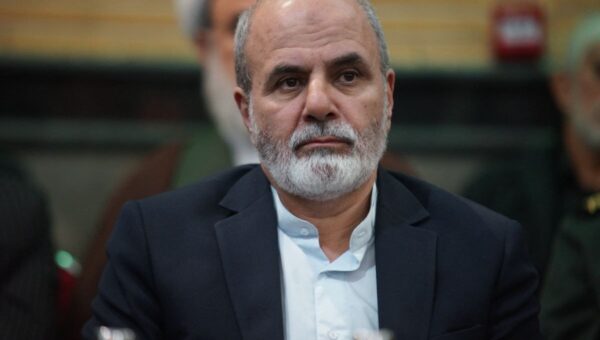 گفت‌وگوی تلفنی دبیر شورای عالی امنیت ملی با یک مقام اماراتی/ احمدیان: امنیت خلیح فارس، مستلزم مشارکت کشورهای منطقه است