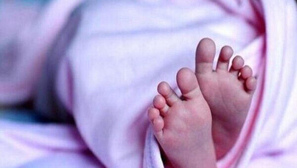 چند نوزاد در جنگ ۱۲ روزه متولد شدند؟