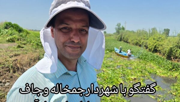 مقابله جدی با سنبل آبی در چاف و چمخاله؛ ۵ کیلومتر پاکسازی شد