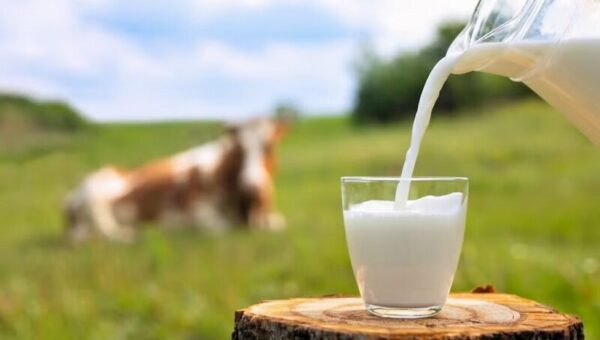 هر رده سنی روزانه چقدر باید شیر مصرف کند؟