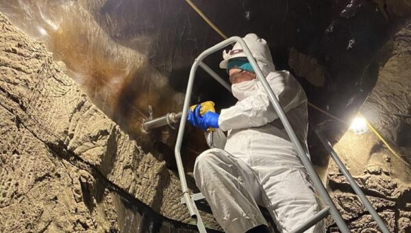 میکروب‌های ۴۰ هزار ساله از خواب یخی بیدار شدند!