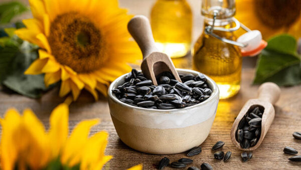 ببینید  ایده جالب کشاورز سبزواری در جداکردن تخمه آفتابگردان