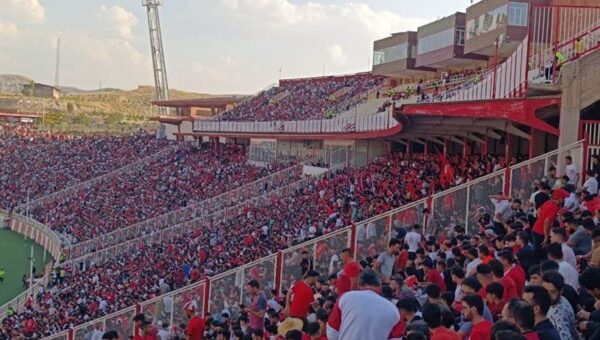 عکس چمن تازه ورزشگاه یادگار امام زرد شد