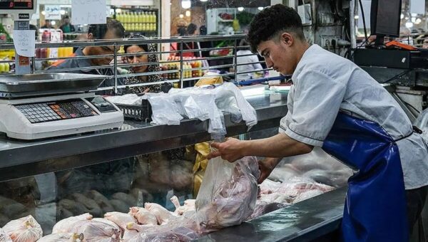 زنگ خطر در بازار؛ مرغ کیلویی ۲۵۰ هزار می‌شود؟