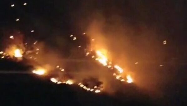 فاجعه زیست‌محیطی در اندیکا؛ بلوط‌های هزارساله طعمه حریق شدند