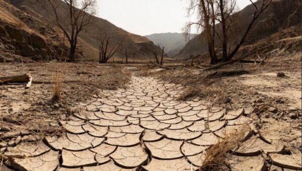 فقه محیط زیست؛ قرائت تازه‌ای از آیهٔ فساد و تباهی در خشکی و دریا