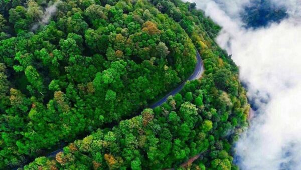 ببینید افزایش مهدود در شهرهای شمالی و کاهش کیفیت هوا