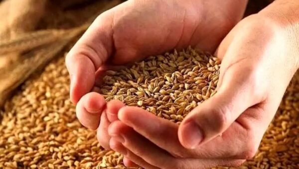 افزایش ۳۰۰درصدی پرداخت زکات واجب در تاکستان