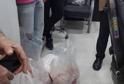 بیش از ۱۰۰کیلوگرم مرغ بدون هویت در بویین زهرا کشف شد