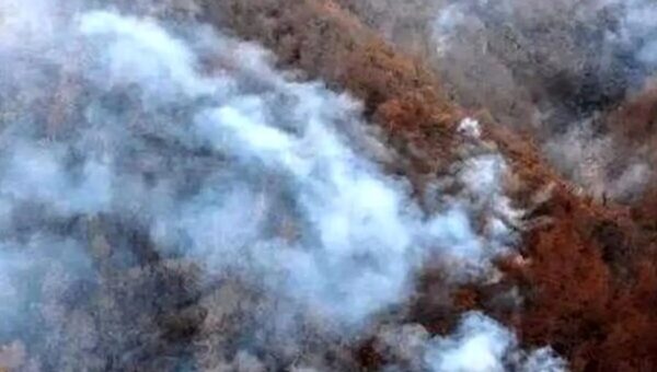 نماینده مجلس: هواپیمایی‌هایی که از ترکیه آورده‌اند توانستند تا حدی آتش را مهار کنند/ امروز باید این وضعیت تمام شود