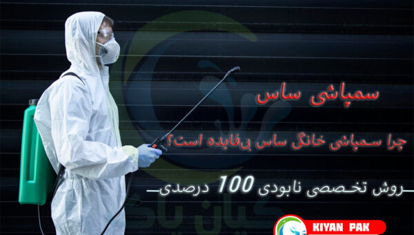 چرا سمپاشی خانگی ساس بی ‌فایده است؟ روش تخصصی نابودی ریشه‌ای