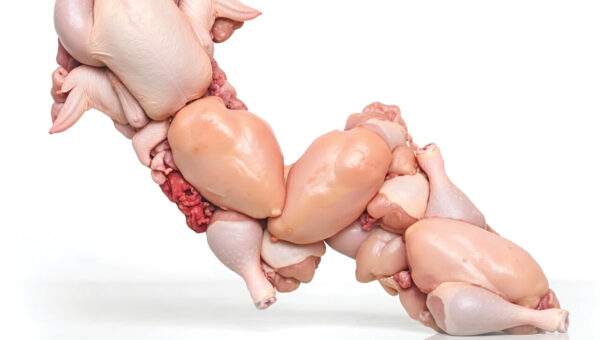 قیمت مرغ بازهم بالاتر می‌پرد؟