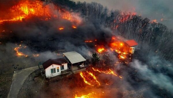 ببینید  آتش‌سوزی گسترده در کره جنوبی ده‌ها هکتار را به خاکستر تبدیل کرد