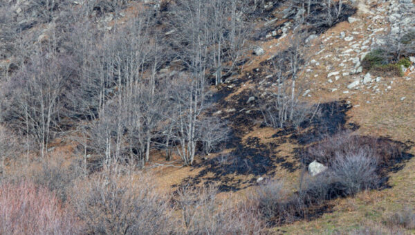 آتش‌سوزی در جنگل‌های مازندران
