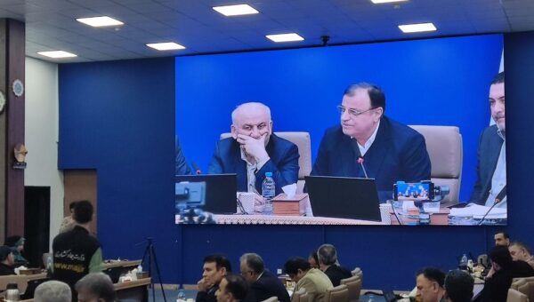 طهماسبی: مشکلات واردات کالای اساسی و تخصیص علوفه به دامداران روستایی رفع شود