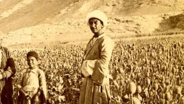 عکس/ مزرعه «خشخاش» در اطراف اصفهان در دوران قاجار