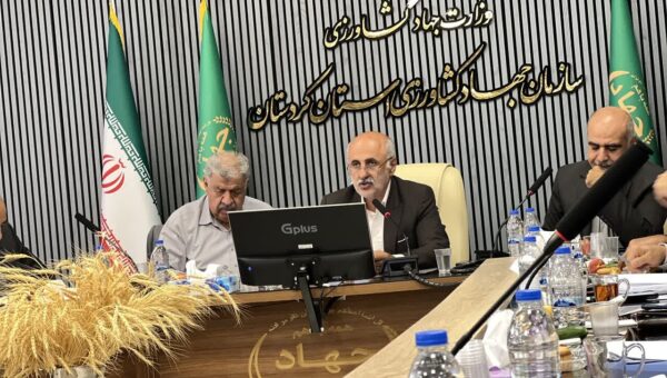 کردستان پیشتاز در تولیدات استراتژیک کشاورزی؛ سهم ۱۳۷ هزار میلیاردی از اقتصاد استان