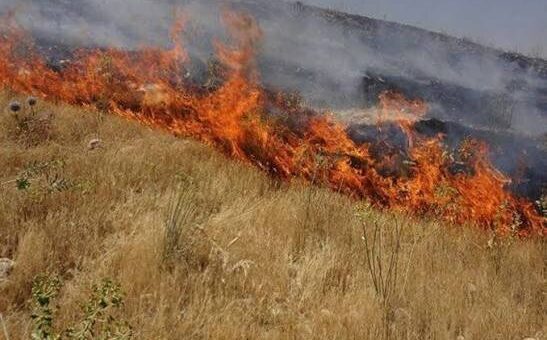 ببینید  شهرک‌نشینان اسرائیل اراضی فلسطینیان در رام‌الله را به آتش کشیدند