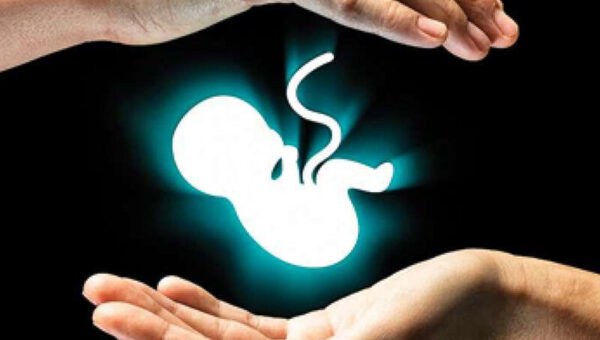 آمار تازه از سقط جنین قانونی در ایران؛ چند نفر مجوز گرفتند؟