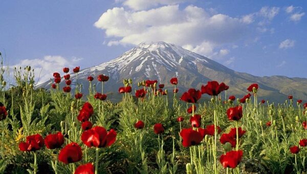از یخچال‌های در حال ذوب تا زباله؛ چالش‌های امروز دماوند