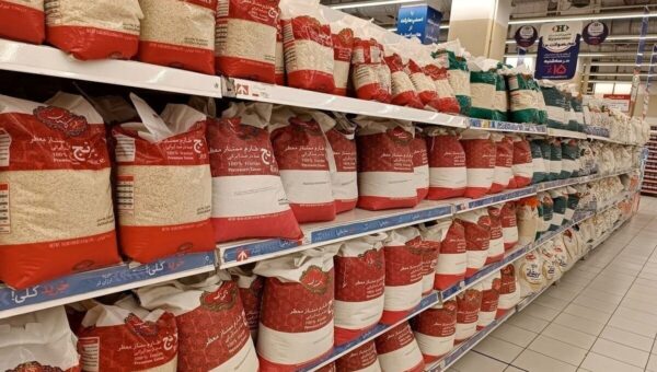 قیمتهای جدید برنج ایرانی اعلام شد/ طارم هاشمی و دمسیاه گیلان چقدر شد؟