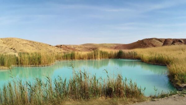 ثبت چهار عرصه تالابی استان در تصویب‌نامه هیأت وزیران