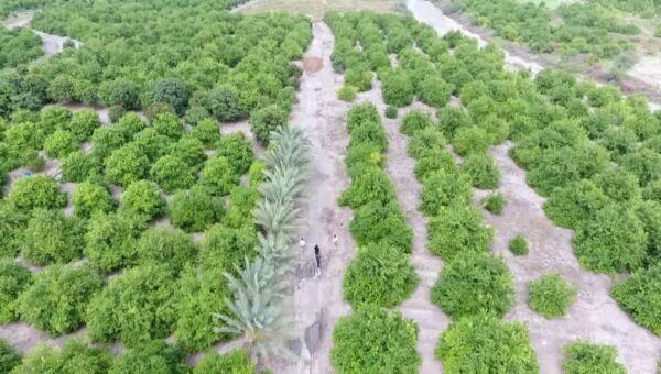 بررسی مشکلات آب و برق باغداران رودان