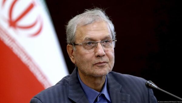تار و پود جاودانگی: ادبیات، سیستم ایمنی و حافظه تاریخی ما