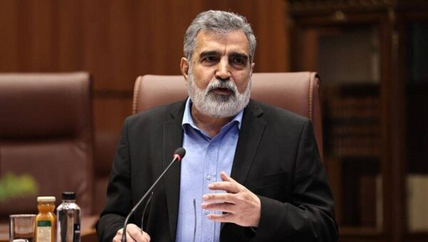 کمالوندی در کنفرانس آژانس: صنعت هسته‌ای ایران با حمله نظامی، خرابکاری و ترور از بین نمی‌رود