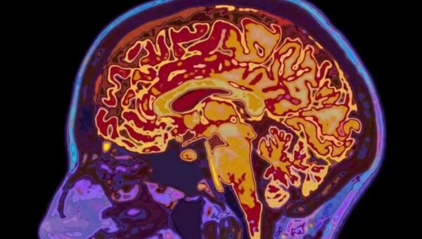 فلسفه ذهن چیست و چه کاربردی دارد؟