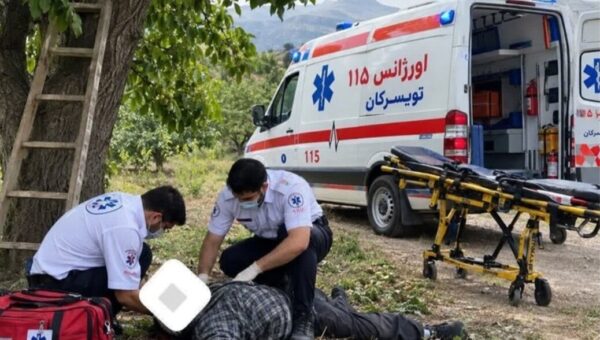 ۹۵ مصدوم و ۲ فوتی در پی سقوط از درخت گردو در همدان